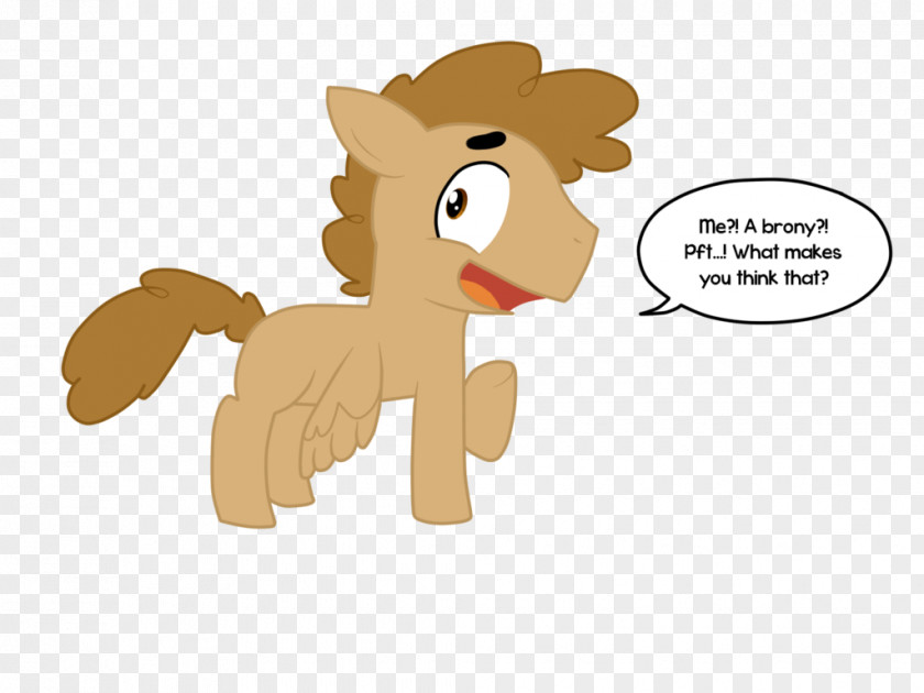 Lion Cat Horse Mammal Dog PNG