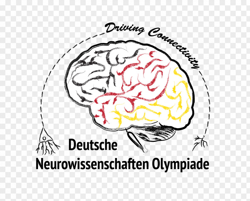 Ms Olympia 2017 Heinrich-Heine-Gymnasium Deutsche Neurowissenschaften-Olympiade Neuroscience International Brain Bee Learning PNG