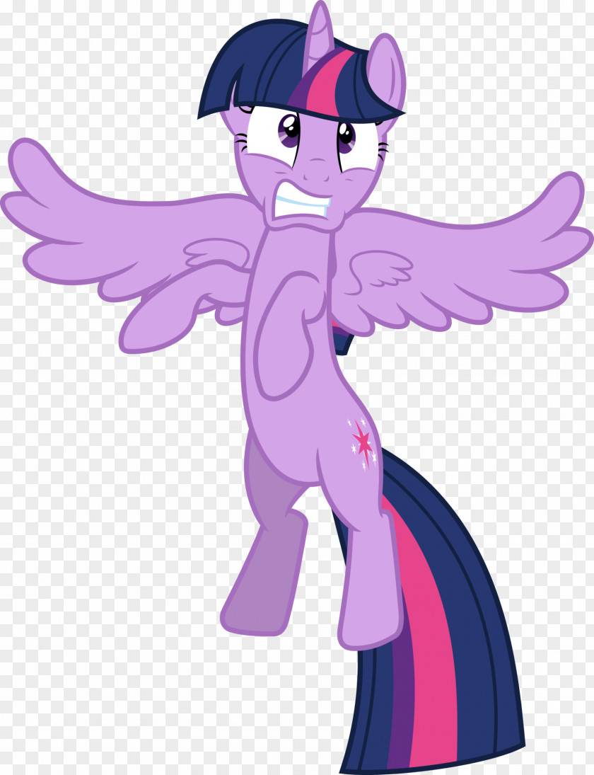 Twilight Sparkle Sunset Shimmer Winged Unicorn Pony Rainbow Dash PNG