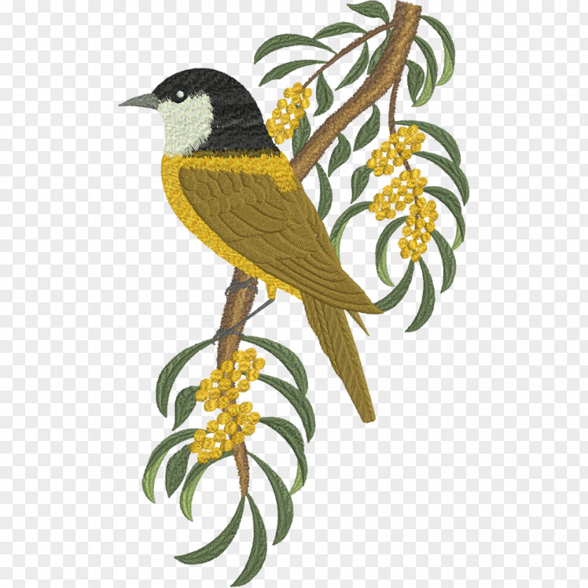 Bird Finches Honeyeaters Machine Embroidery PNG