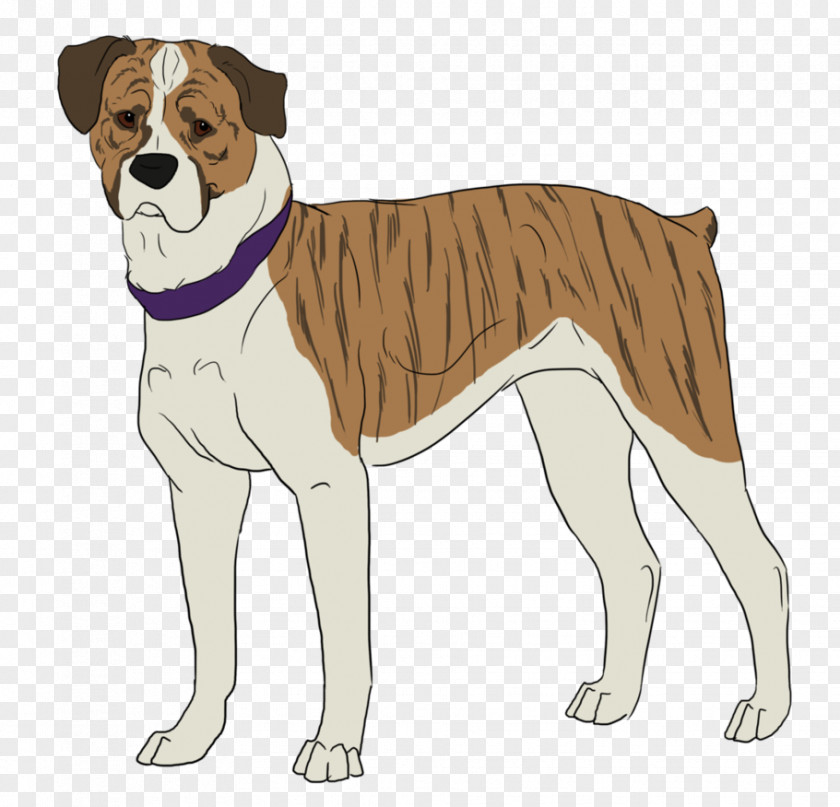Dog Breed Non-sporting Group Companion (dog) PNG