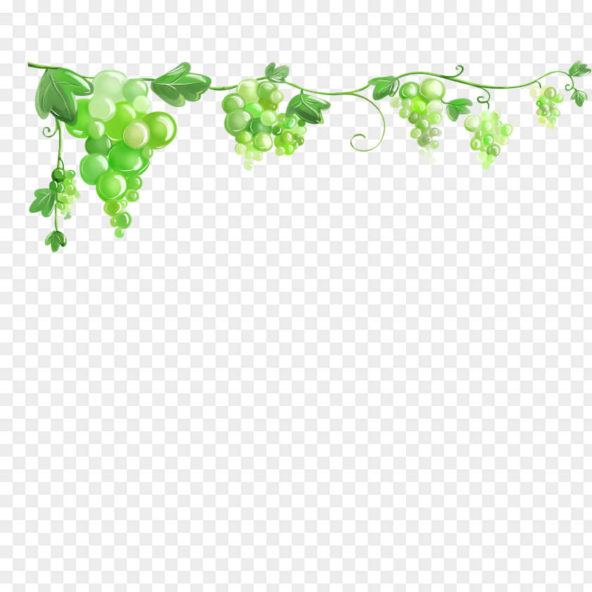 Grape Common Vine Leaves Wallpaper PNG