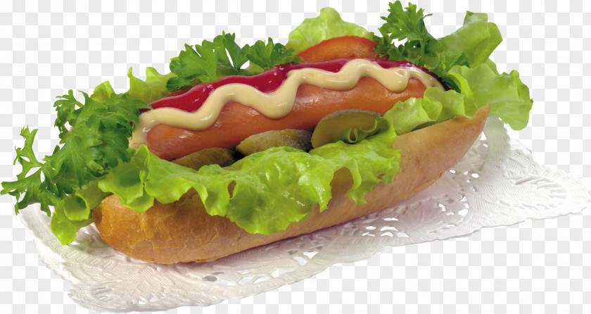 Hot Dog Image Hamburger Sausage Fast Food PNG