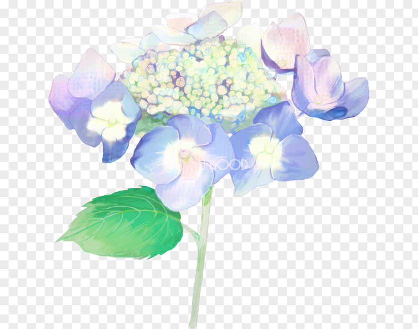 Hydrangea Cut Flowers Floral Design Artificial Flower PNG
