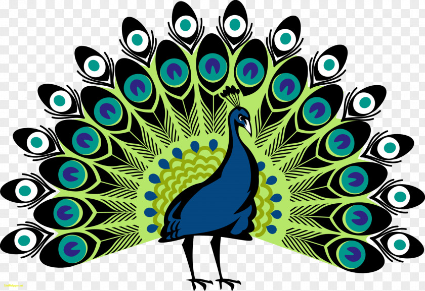 Peacock Peafowl Drawing Symbol Coat Of Arms Clip Art PNG