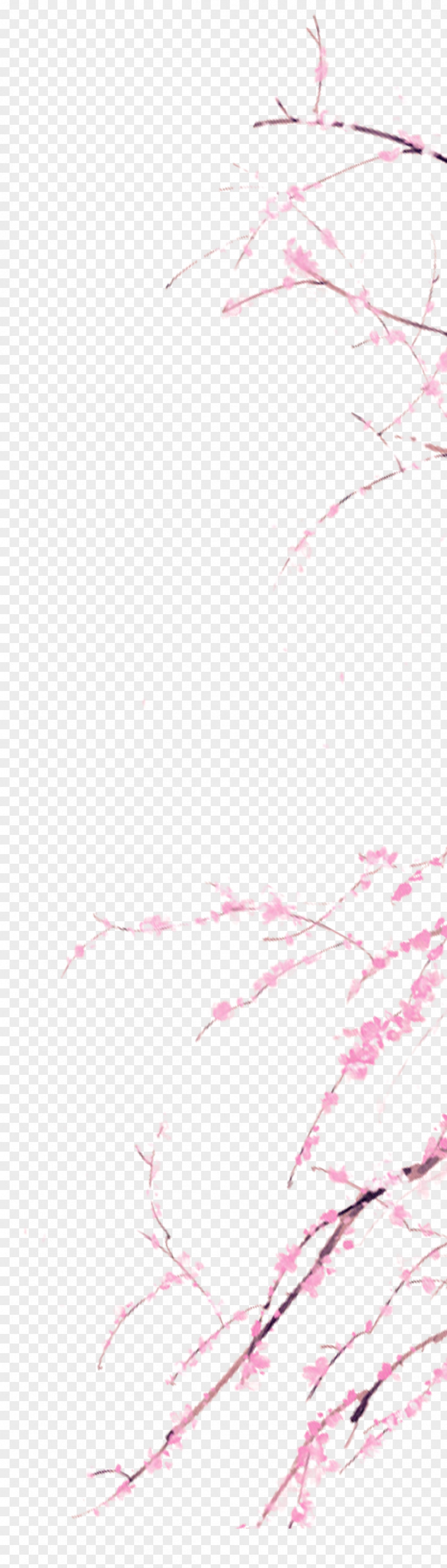 Pink Watercolor Peach Branches Decorative Patterns Painting PNG