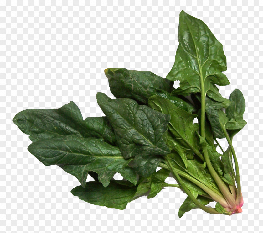Pistachio Spinach Salad Vegetable Image PNG