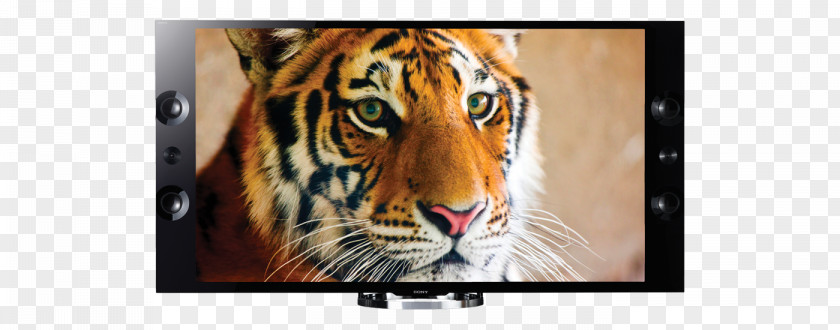 Sony 4K Resolution Ultra-high-definition Television PNG