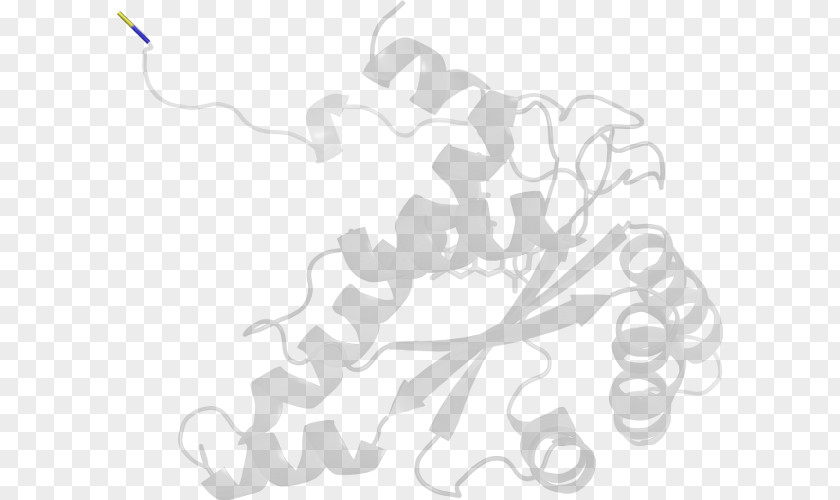 Streptococcus Mutans White Line Art H&M Clip PNG