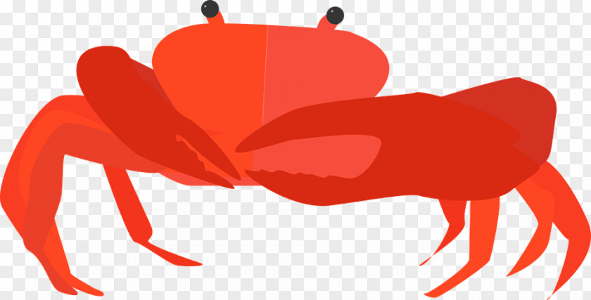Crab How To Catch Crabs Shellfish Clip Art PNG