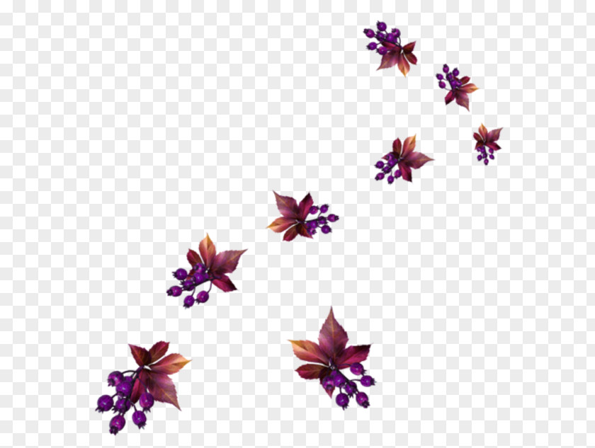 Petal Flower Leaf Clip Art PNG