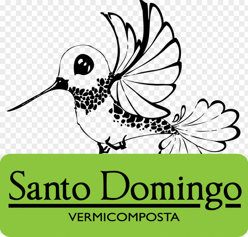 Compos Casa Carlota Graphic Design Flora Line Art Clip PNG