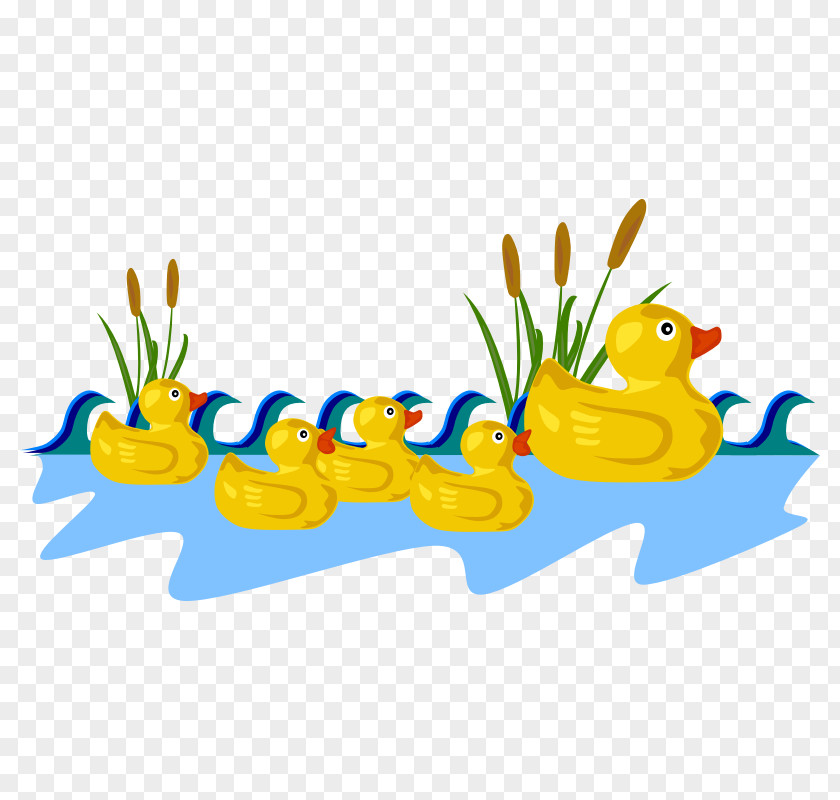 Duck Clip Art Vector Graphics Mallard Free Content PNG