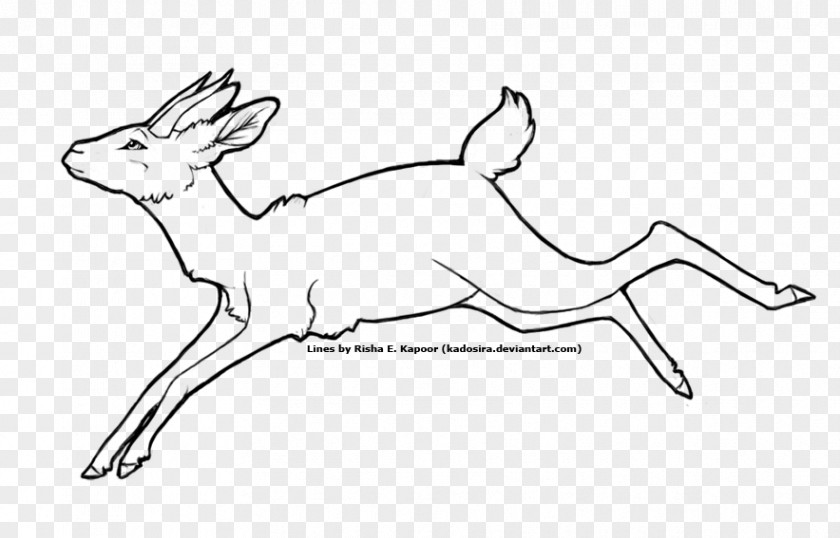 Gazelle Line Art Drawing Coloring Book Sketch PNG