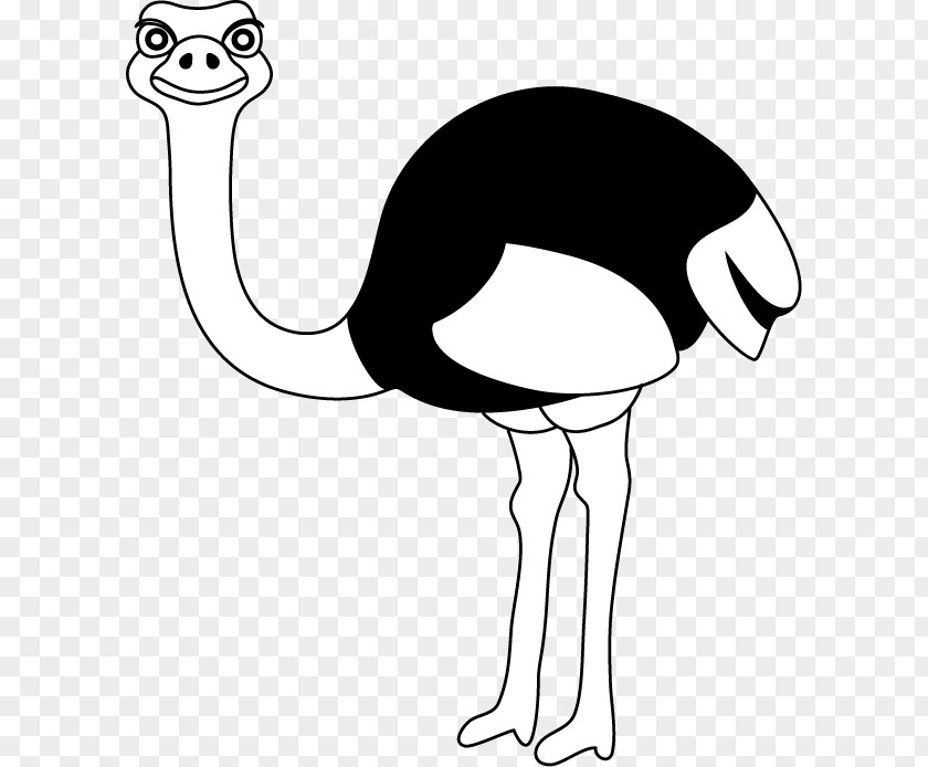 Ostrich Cliparts Common Royalty-free Clip Art PNG