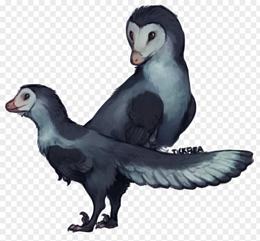 Penguin Anchiornis Bird Dinosaur Velociraptor PNG