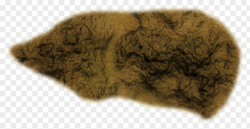 Rock Ground Fur PNG