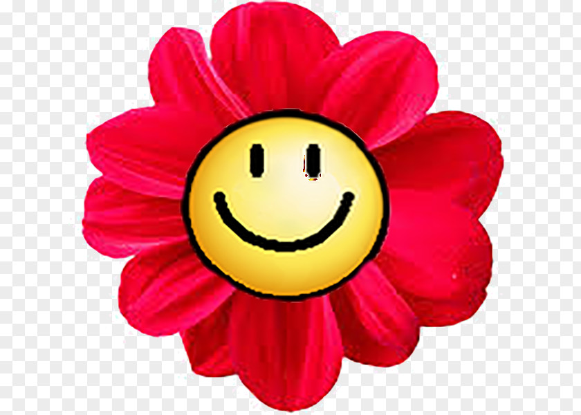 Smiley Flower Sticker Clip Art PNG
