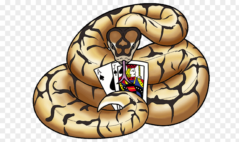 Snake Ball Python Logo Blackjack Black-headed PNG
