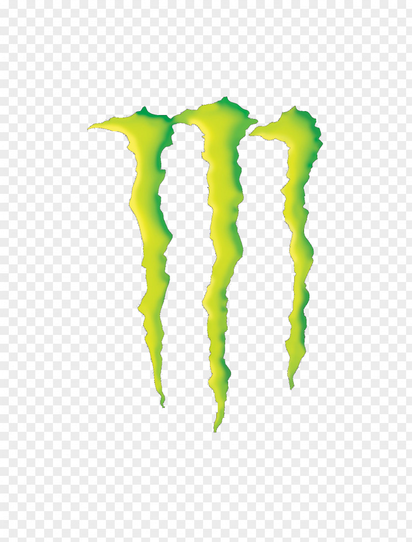 All Monster Energy Flavors Drink Logo Clip Art Beverage PNG