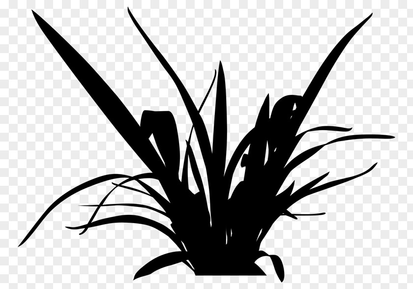 Clip Art Grasses Graphic Design Leaf Plant Stem PNG