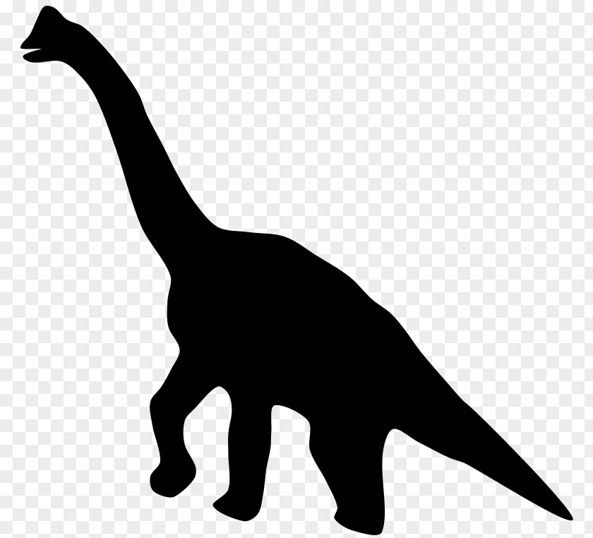 Dinosaur Vector Footprints Reservation Tyrannosaurus Stegosaurus Triceratops Clip Art PNG