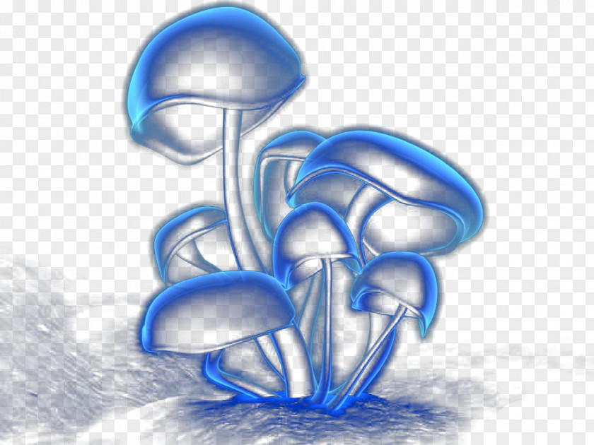 Hand-painted Blue Mushrooms Fungus Drawing Wallpaper PNG
