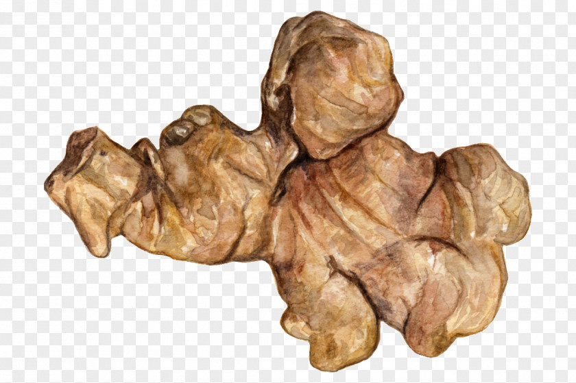 Red Ginseng Artist Work Of Art Painting Ginger PNG