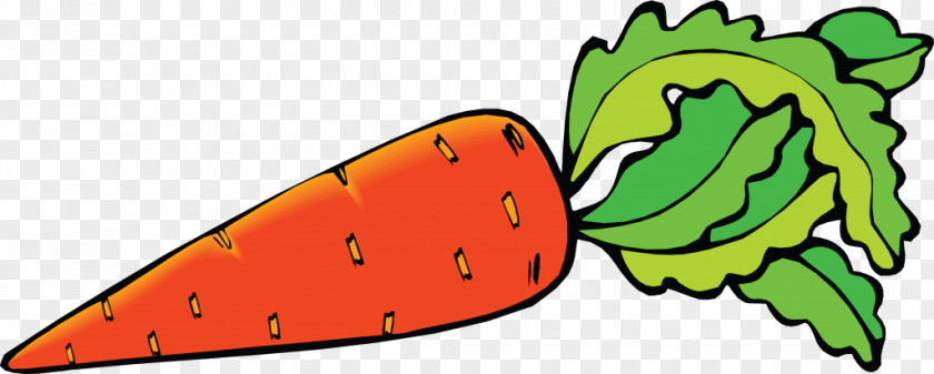 Carrot Clip Art PNG