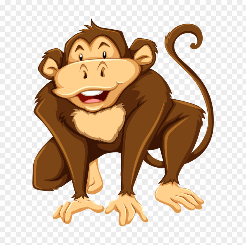 Macaco Vector Graphics Stock Photography Illustration Royalty-free PNG