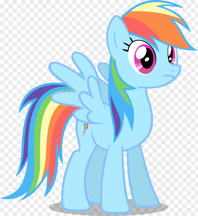 My Little Pony Rainbow Dash Pinkie Pie Twilight Sparkle Rarity Derpy Hooves PNG