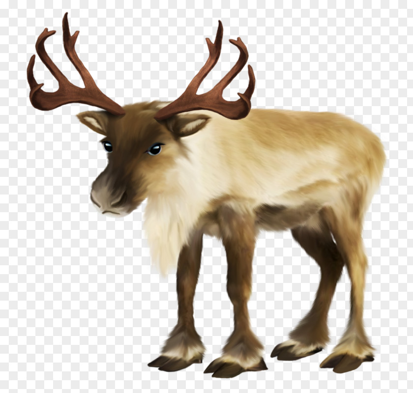 Santa Claus Claus's Reindeer Rudolph Sled PNG