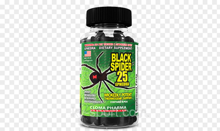 Spider Southern Black Widow Price Dietary Supplement Ephedra PNG