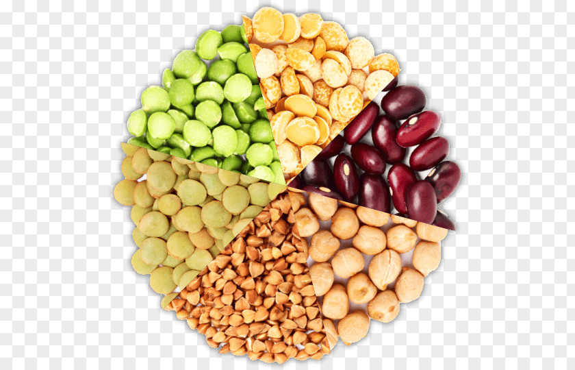 Sprouts Cannellini Beans Peanut Vegetarian Cuisine Food Bean PNG