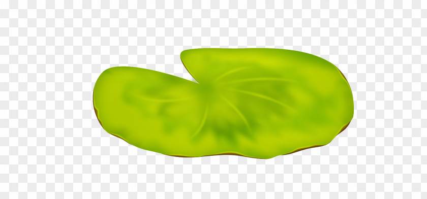 Design Green Fruit PNG