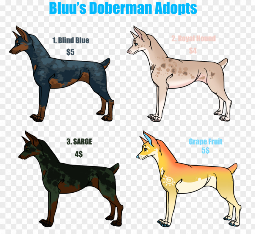 Doberman Dog Breed Dobermann Rottweiler Great Dane English Mastiff PNG