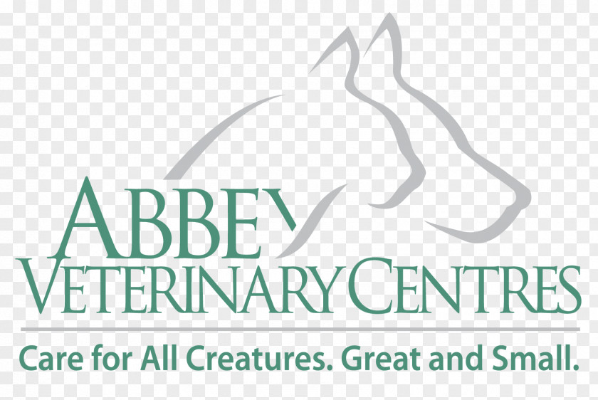 Dog Abbey Veterinary Centre Veterinarian Group Medicine PNG