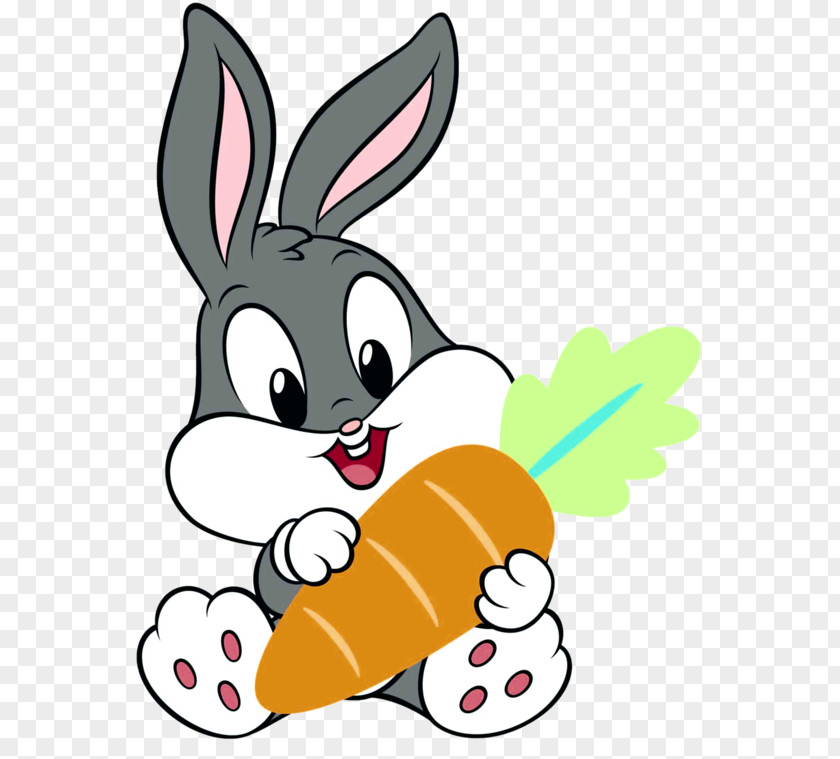 Easter Bunny Carrot Cartoon PNG