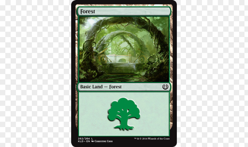 Magic Forest Magic: The Gathering Kaladesh Amonkhet Unhinged Ixalan PNG