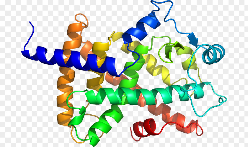 Peroxisome Proliferatoractivated Receptor Delta Clip Art Organism Line Product Animal PNG