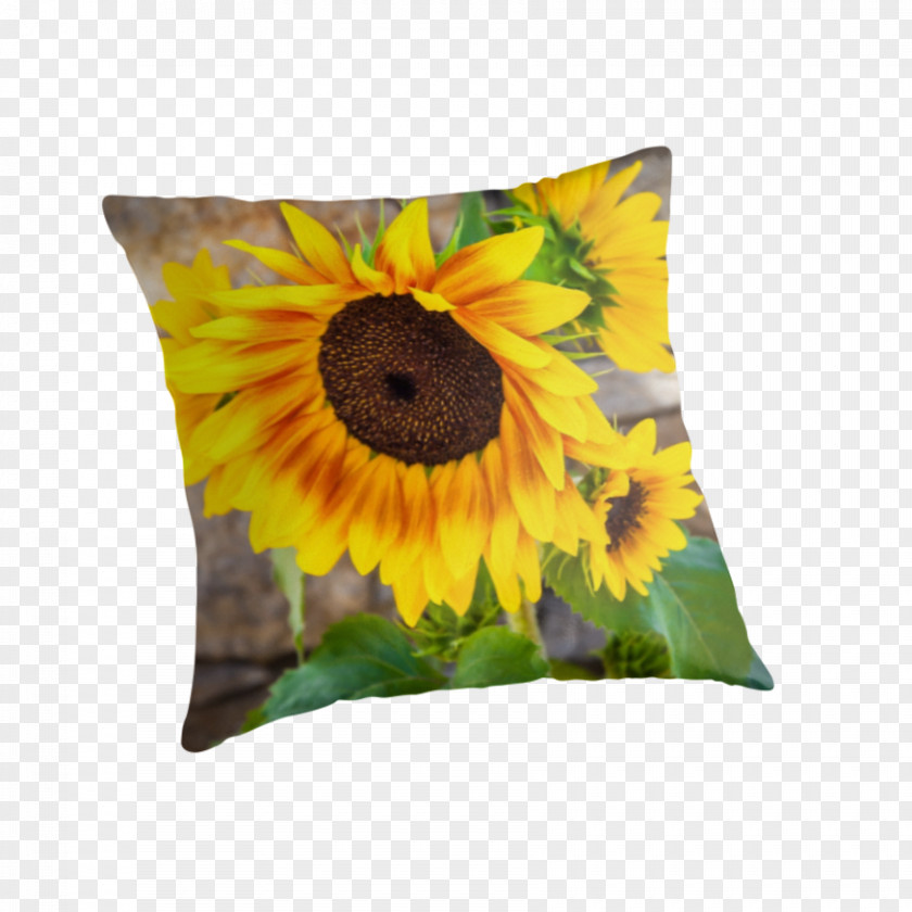 Sunflower Pattern Cushion PNG