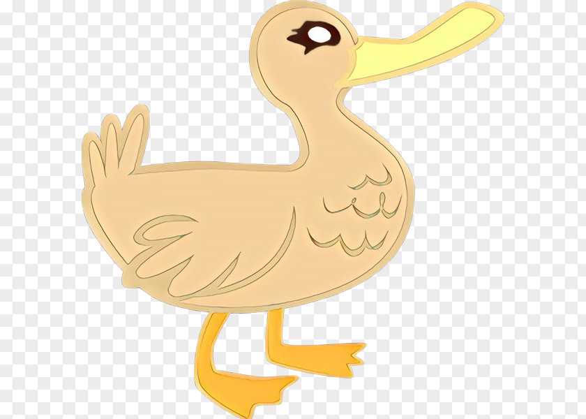 Water Bird Goose Chicken Cartoon PNG