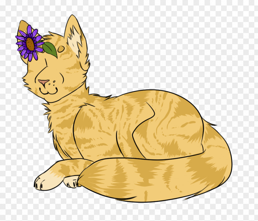 Cock Cat Dog Kitten Mammal Whiskers PNG