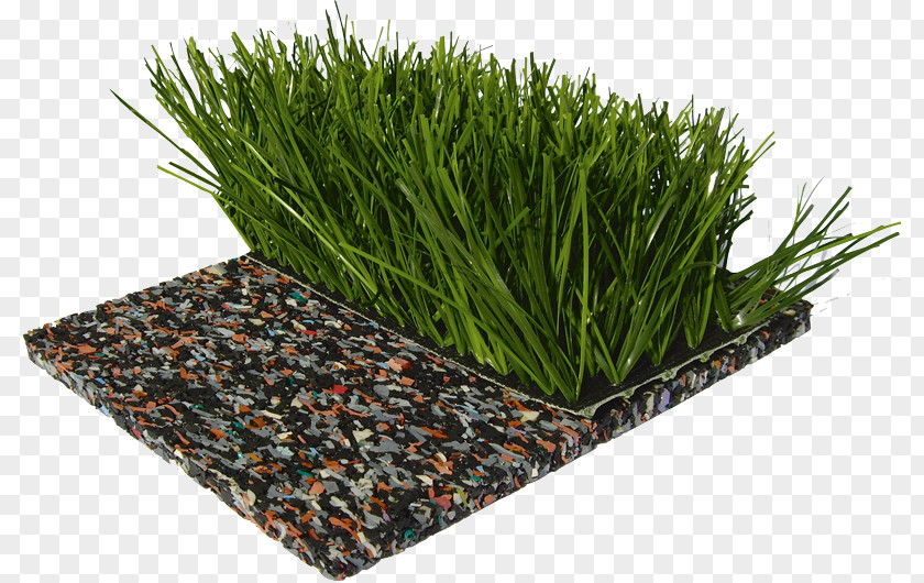 Football Grass Artificial Turf Flooring Lawn Garden Sport PNG