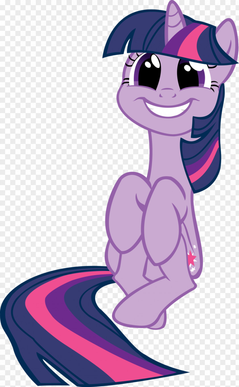 Twilight Sky Sparkle Pony Rainbow Dash The Saga PNG