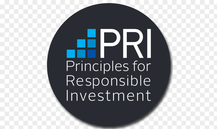 Business Cine Ritz Divinópolis Investment Finance Management PNG
