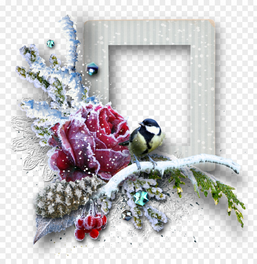 Christmas جمال‌الأسبوع Clip Art PNG