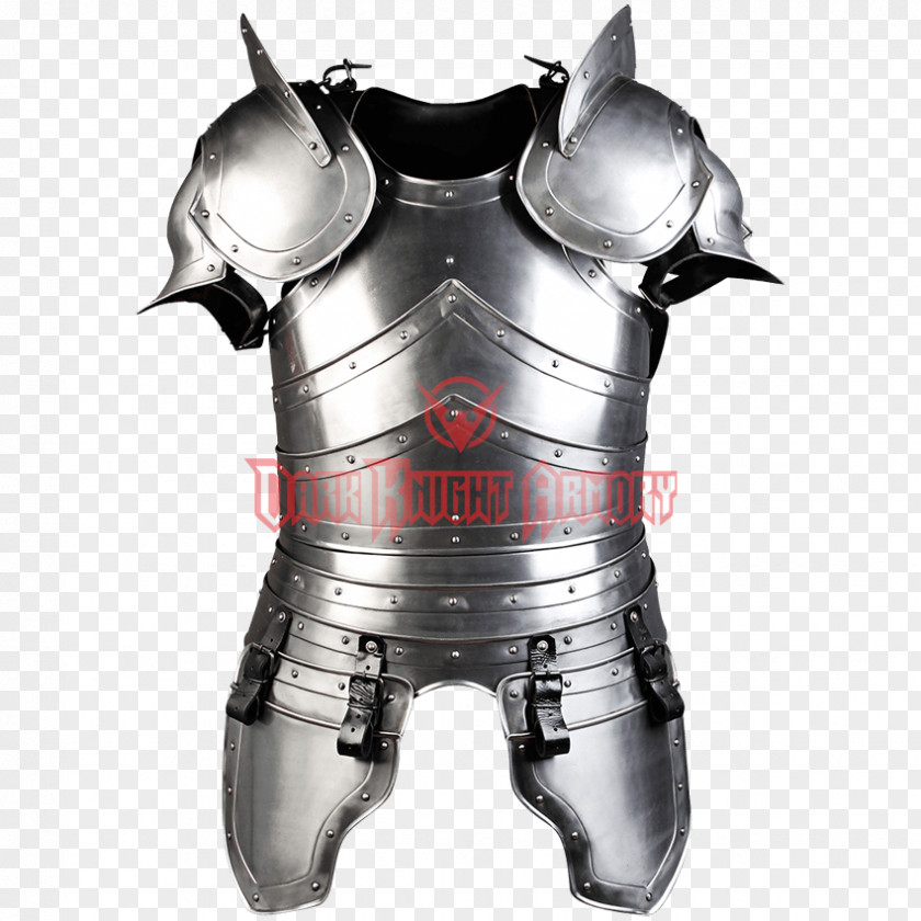 Coins Plate Armour Body Armor Breastplate Japanese PNG
