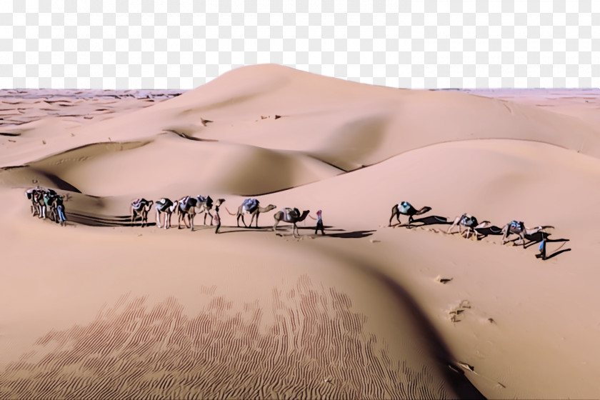 Desert Sand Natural Environment Erg Dune PNG