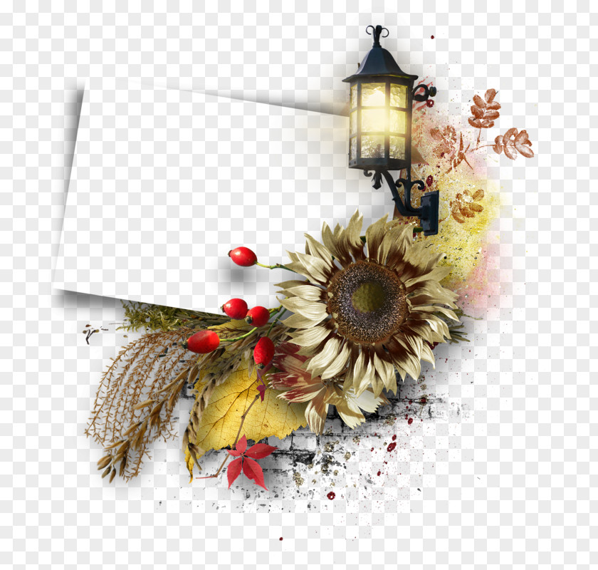 Flower Floral Design Cut Flowers Christmas Ornament PNG